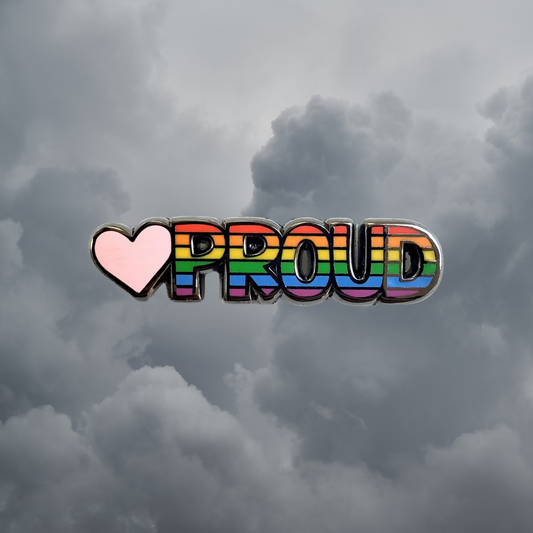 Rainbow Proud Needle Minder